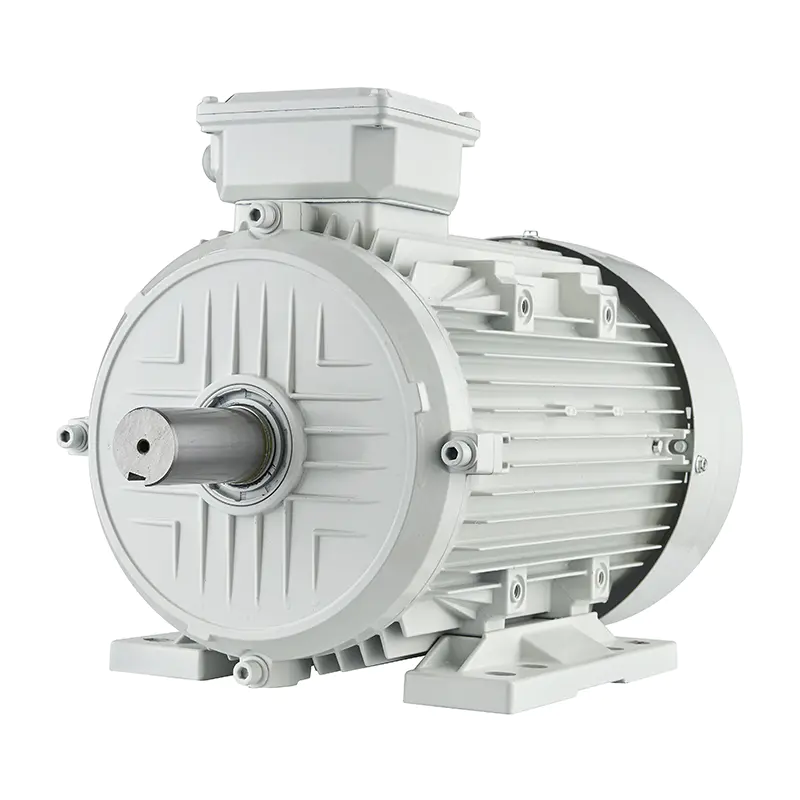 IEC/IE2 High Efficiency Motor