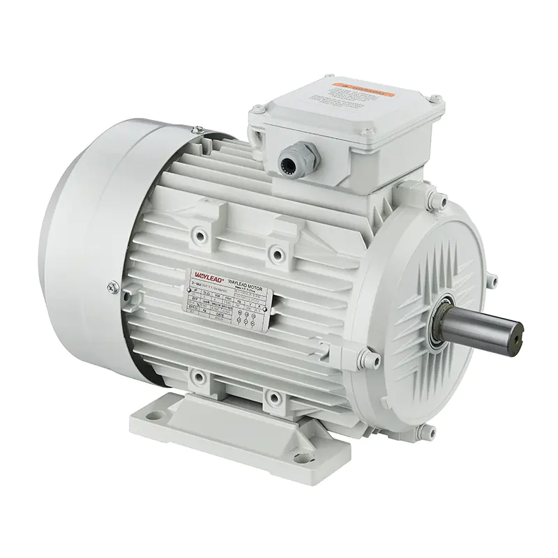 IEC/IE3 Premium Efficiency Motor